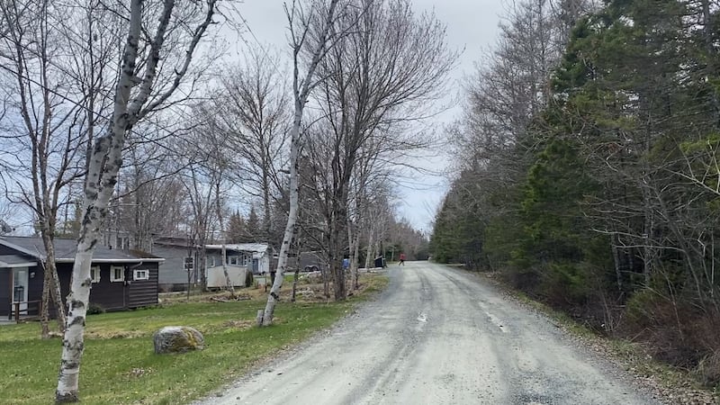 Alerts about man with machete prompt some confusion in Gaetz Brook, N.S.