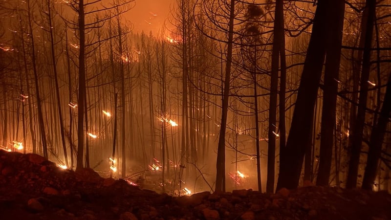 B.C. brothers fought to save home from raging wildfire