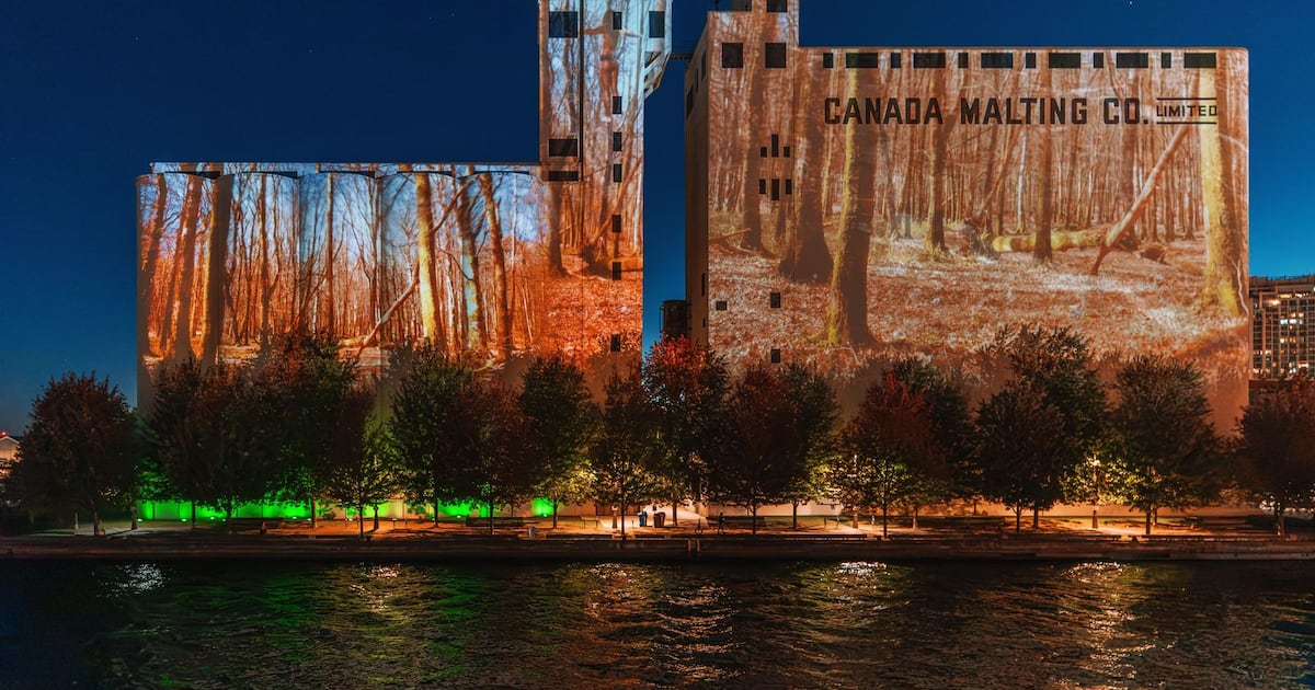 Toronto art installation shines light on growing Canada-EU ties - CTV News