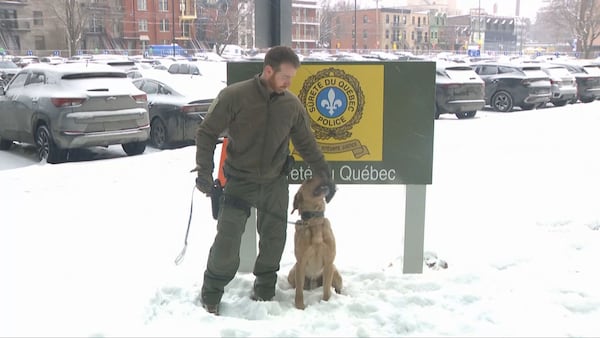 Reggie, SQ’s first cadaver dog, takes on dozens of missions in his first year