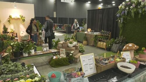 The Edmonton Home and Garden Show on Mar. 26, 2026. (Galen McDougall/CTV News Edmonton)