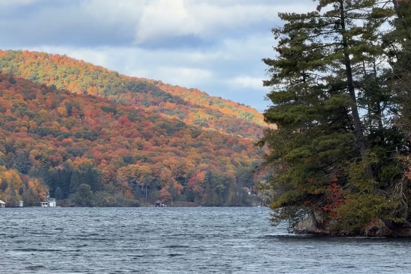 Fall colours peak in Gatineau Park ahead of Thanksgiving weekend