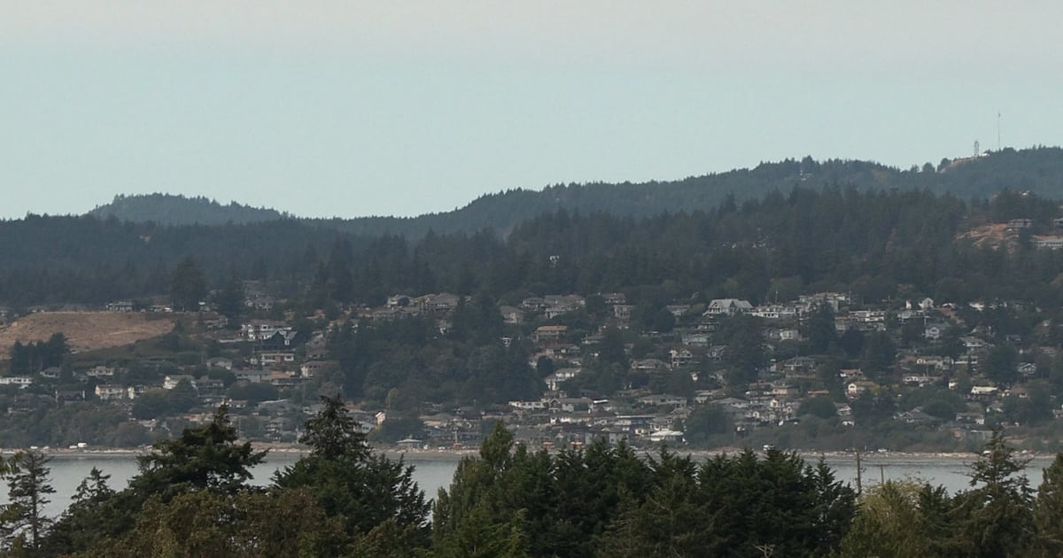 Isle Display Sign Deer illegally shot in residential area on Vancouver Island