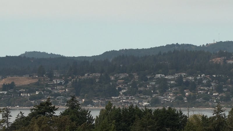 Witnesses sought after deer illegally shot in Vancouver Island city