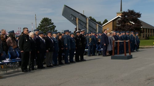 Members of the military stand in a line.