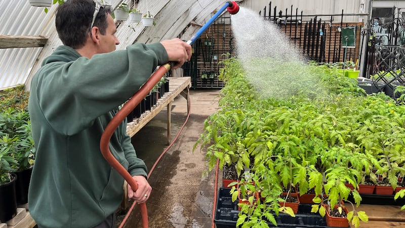 Winnipeggers looking to save on produce by planting their own