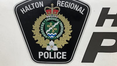 Woman arrested in theft of horse now facing new charges: Halton police