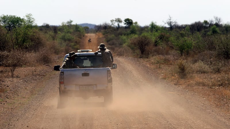 South African among workers abducted after attack on hunting camp in Mozambique