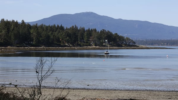 Scuba diver’s death in B.C. a ‘tragic incident,’ police say as investigation underway
