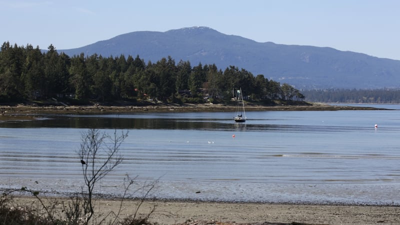 Police investigating death of scuba diver in B.C. Gulf Islands