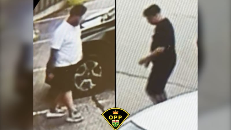 North Bay OPP warns of used car scam incident in Bonfield