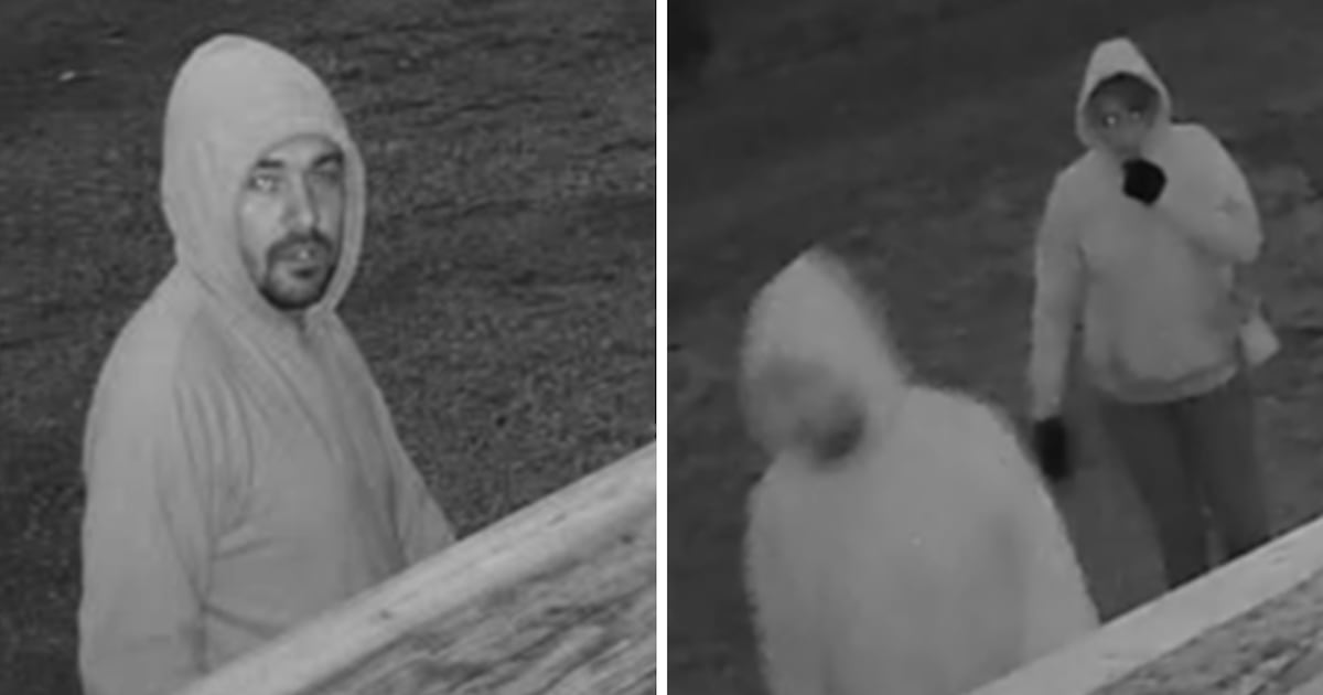 Police seek suspects in stolen golf cart investigation in Lambton County