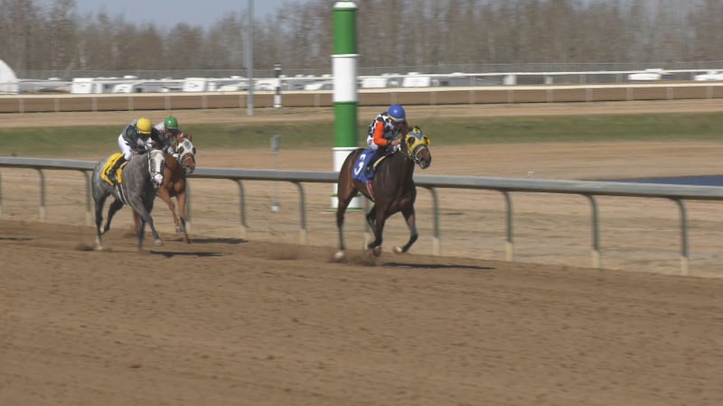 Competitive horse racing back for 2026 season at Century Mile Racetrack