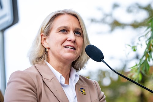 Elenore Sturko loses seat for CentreBC in return to Surrey South