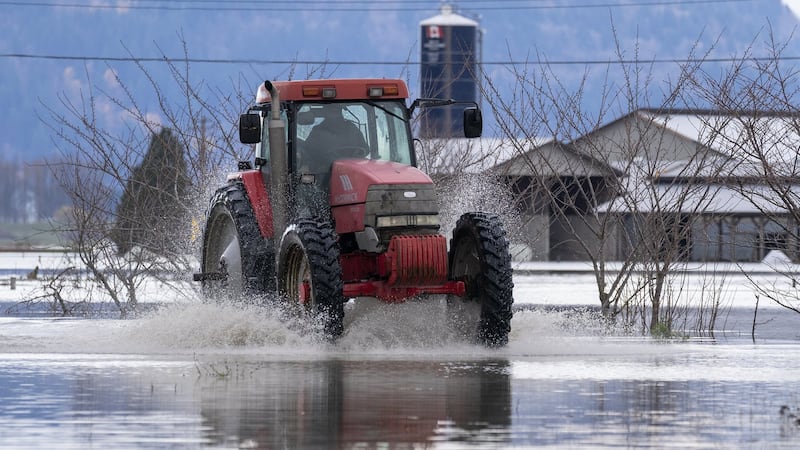 27 B.C. communities experience warmest Dec. 15 on record