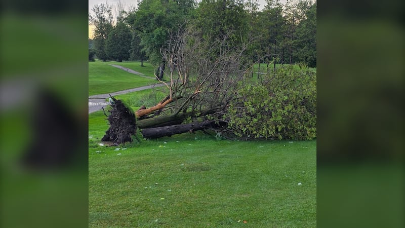Seaforth Golf Club closed due to extensive storm damage
