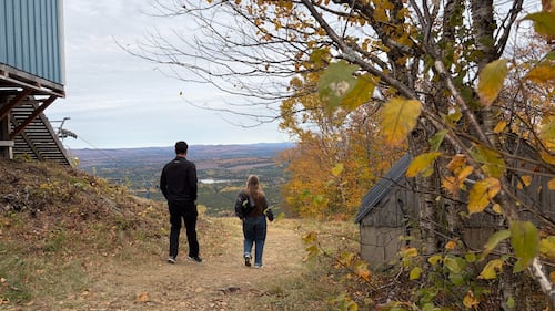 Two people walk on a pathway between trees.