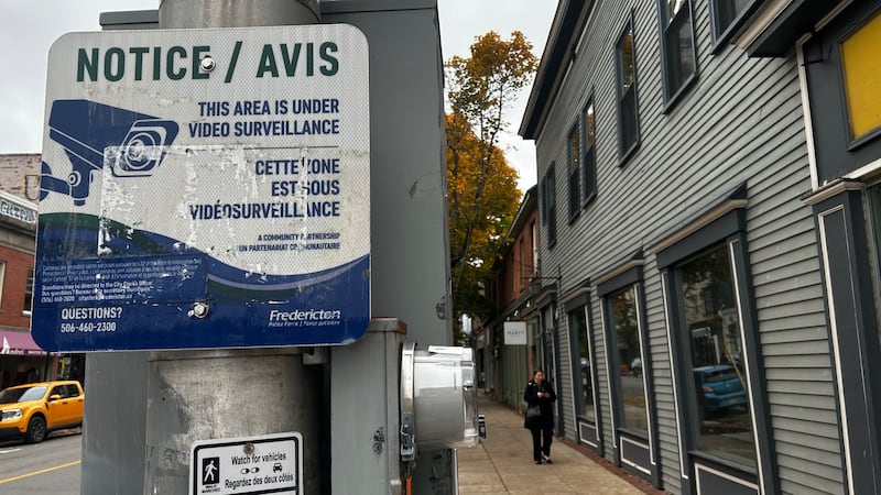 ‘We Can Do Better’: Fredericton business groups call for greater action on community safety
