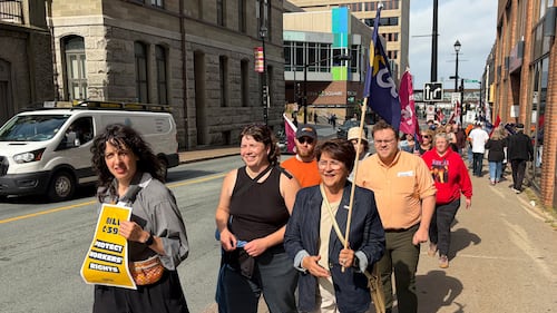 Halifax protesters rally against tabled changes to Canada Labour Code involving strikes