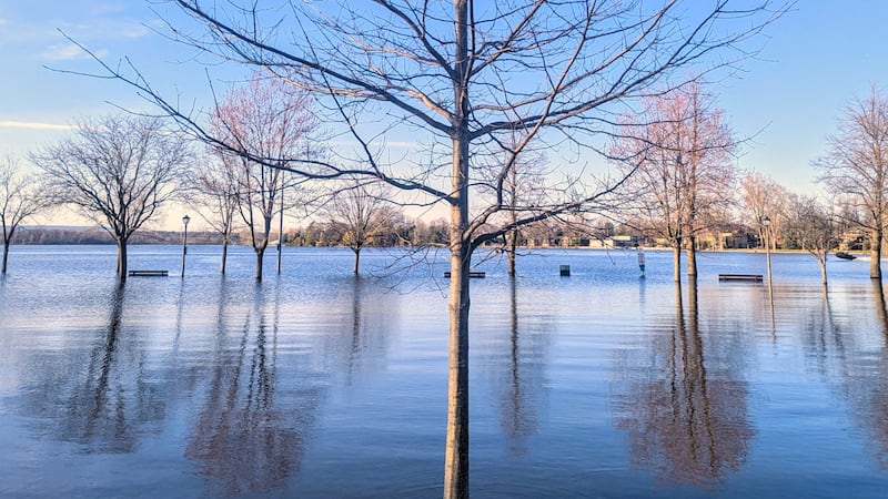 Through the lens: It's a Spring thing!