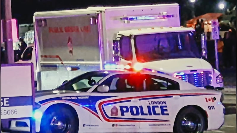 Ontario police allege crowd threw rocks, bottles at officers during incident at music festival
