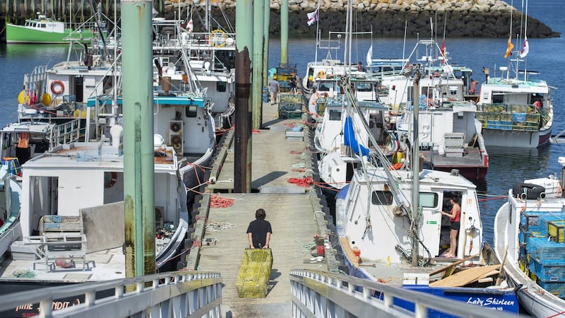 N.S. seafood processor wants accuser to name names in $10-million lobster lawsuit