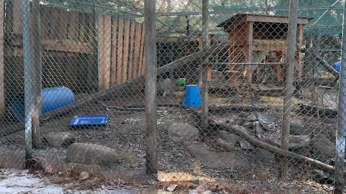 The Edmonton Valley Zoo announced a plan for the next 15 years. Nov. 24, 2025. (Sasha Pietramala/CTV News Edmonton)