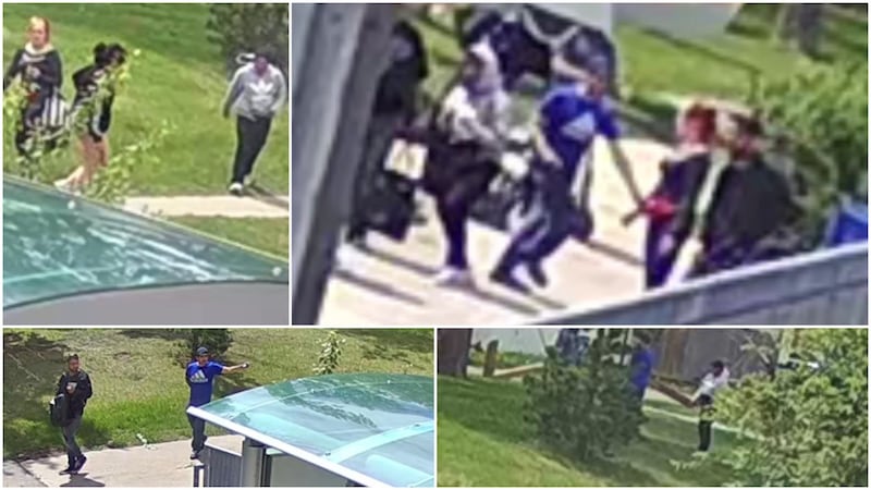 Woman seriously injured following assault near Lions Park CTrain station