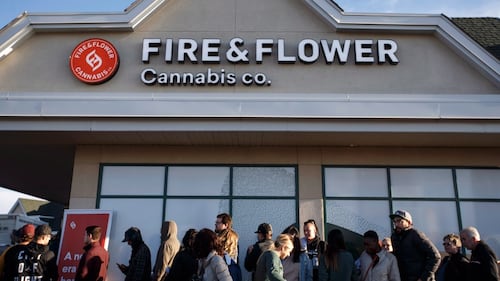 How cannabis may impact mental health, development for young people