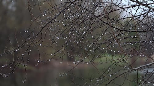Heavy rain, fog expected Monday in the northeast