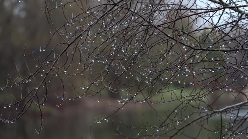 Heavy rain expected in Sault Ste. Marie on Monday evening, into Tuesday