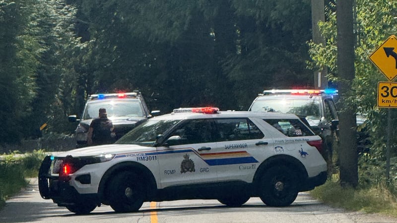 ‘Still in shock’: Mom describes bear attack on toddler