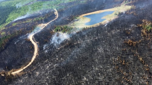 Nearly 200 wildfires burn across northwestern Quebec as province awaits help from U.S. and France