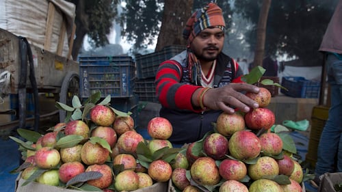 The fruit juice that researchers found could help lower women’s risk of anemia