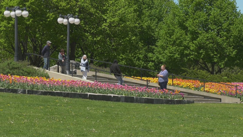 A sunny Friday in Ottawa, but it could rain on Race Weekend