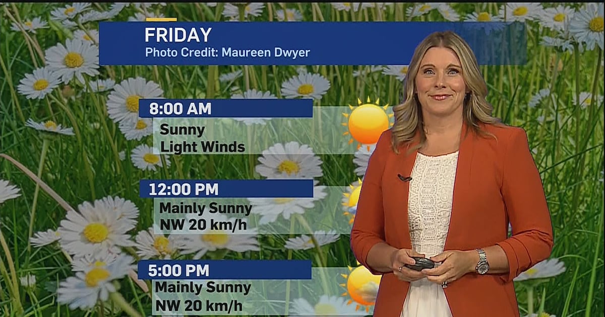 Sunshine and warmth heading into the weekend