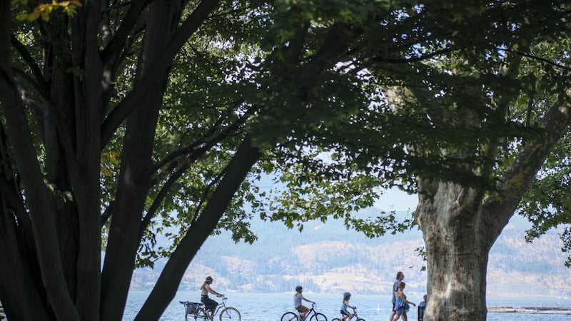 Kelowna, B.C., allowed to opt out of short-term rental rules this summer