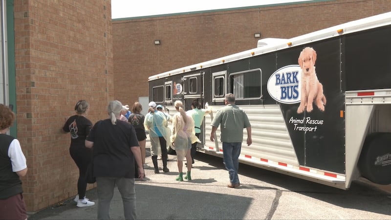 Barrie receives 111 animals from northern Ontario