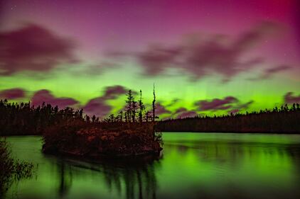 The northern lights are seen in Aspotogan, N.S., on Nov. 11, 2025. (Submitted: Barry Burgess)