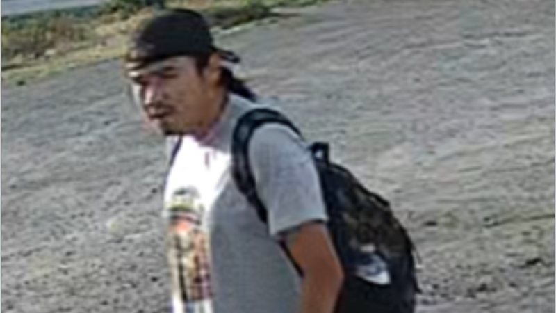 Suspect sought after ‘senseless act of violence’ on senior at B.C. bus stop