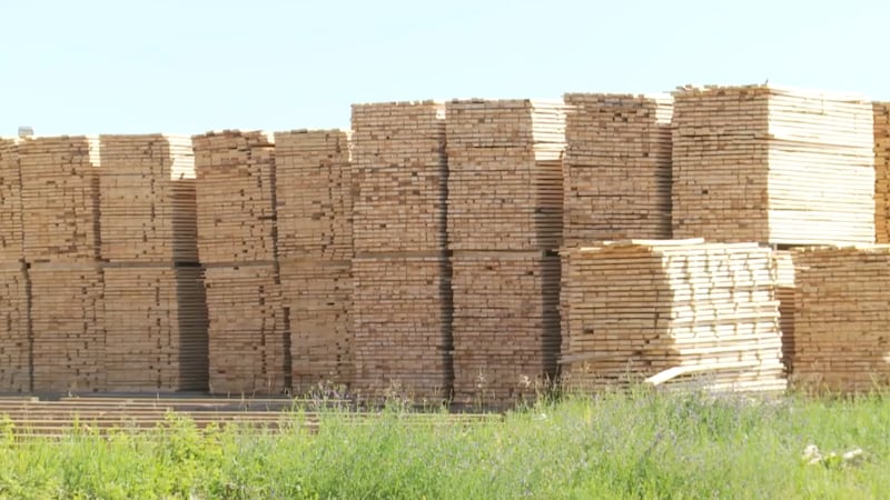 Layoffs begin at Big River, Sask., sawmill as workers call for more support