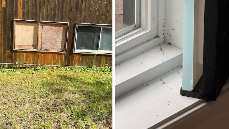 ‘Filthy’ cottage rented through Vrbo ‘ruined’ a family vacation, Ontario woman says