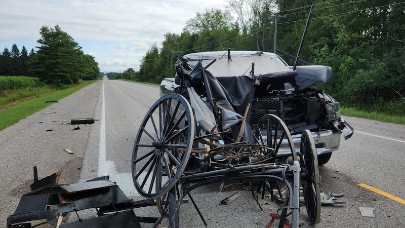One seriously injured, horse killed in crash involving buggy and pickup truck