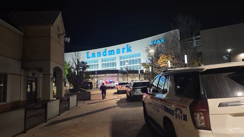 14-year-old seriously injured after stabbing at Whitby movie theatre: police