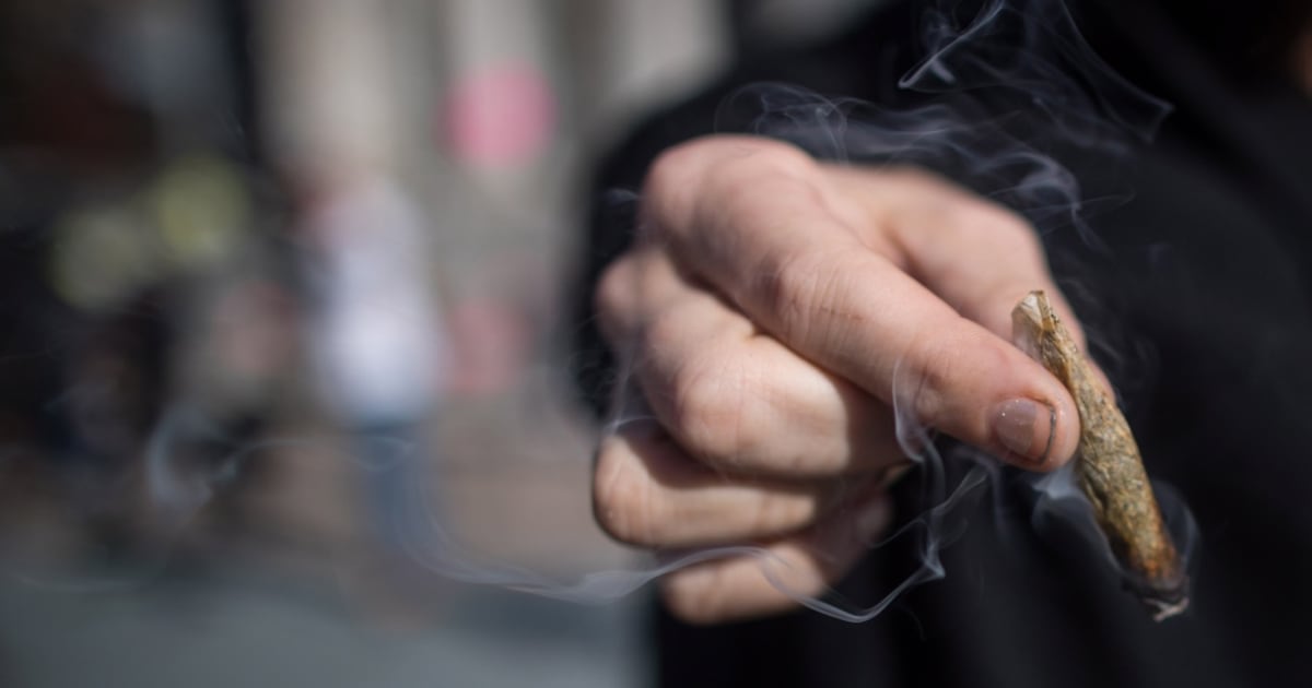 Young Pot Users Brains Have Higher Level Of Protein Linked To Stress young-pot-users-brains-have-higher-level-of-protein-linked-to-stress