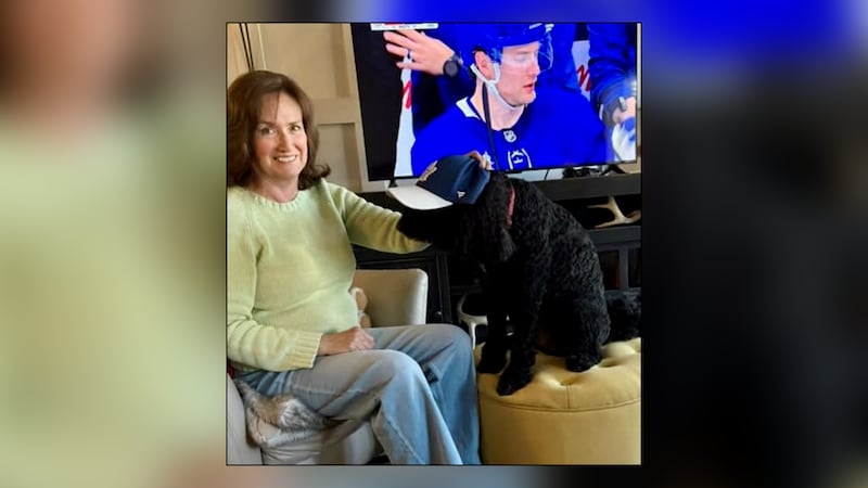 Picture This: Playoff Spirit