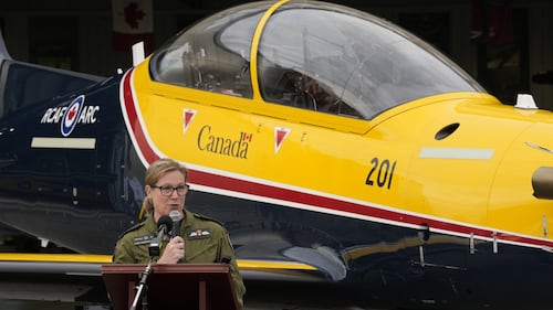 Snowbird replacements ‘extremely manoeuverable, powerful,’ RCAF commander says