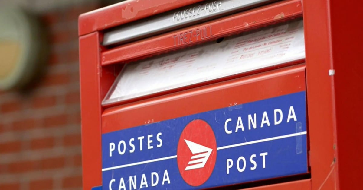 Winnipeg businesses impacted by Canada Post flyer delivery halt