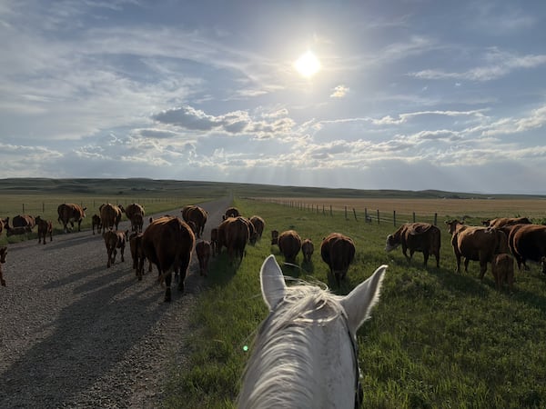 One last day of heat before rainy weekend