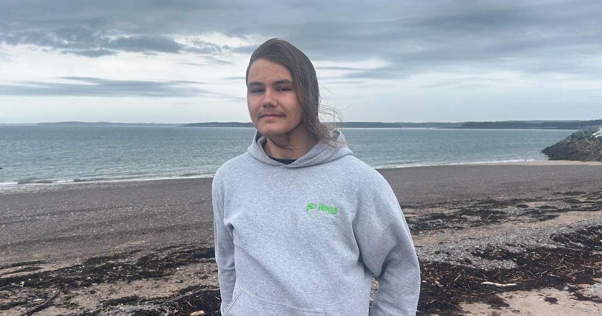 ‘I felt like I did the right thing': N.B. teenager saves shark washed ashore